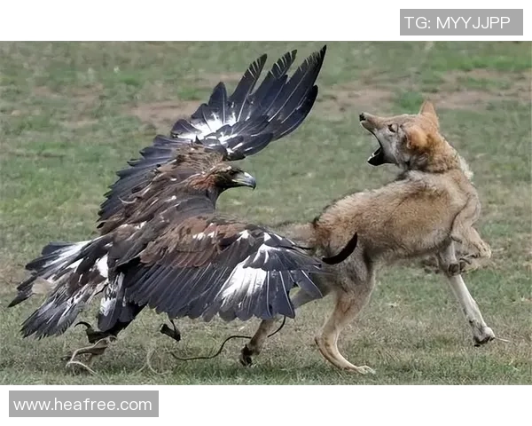 图兵工厂与狼的较量探秘：科技与野性的对决之路